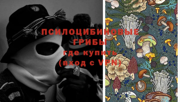 экстази Алексеевка
