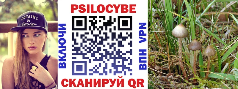 Галлюциногенные грибы Psilocybine cubensis  Микунь 